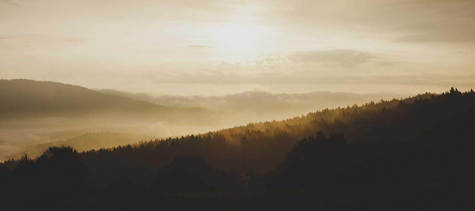 安徽购买钢结构平台