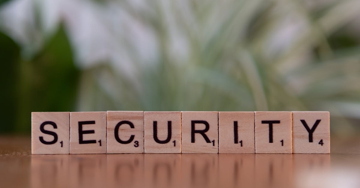 如何在内容中将SEO与语言学相结合