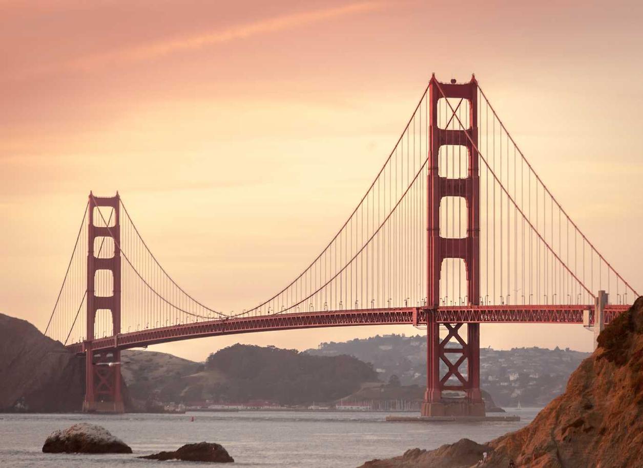 无需实名流量卡:短信平台可以帮助您什么样的业务?