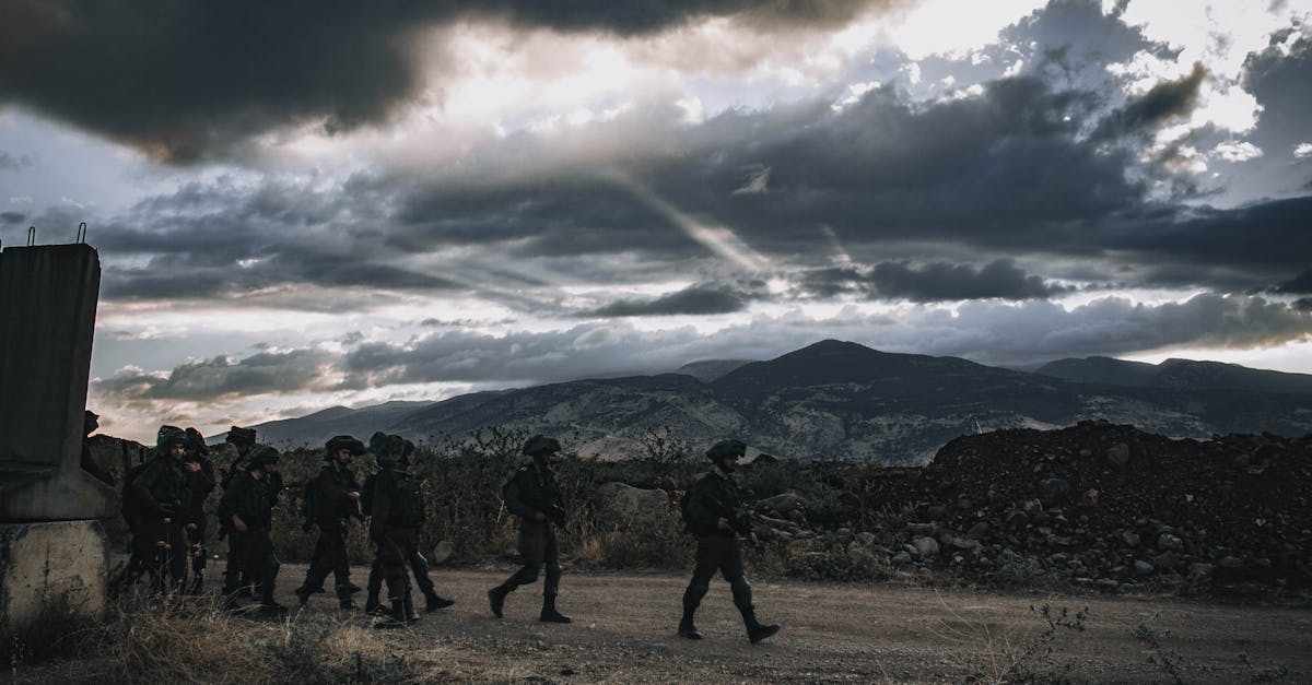 罗密欧2号(50支):代理注册邀请码