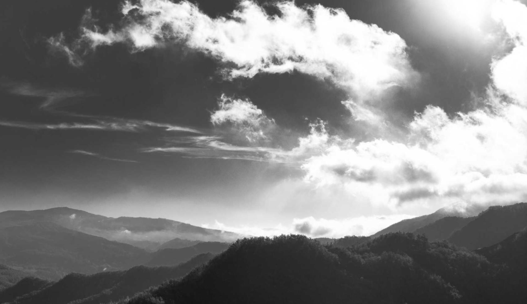 香烟成分和香味的制作方式