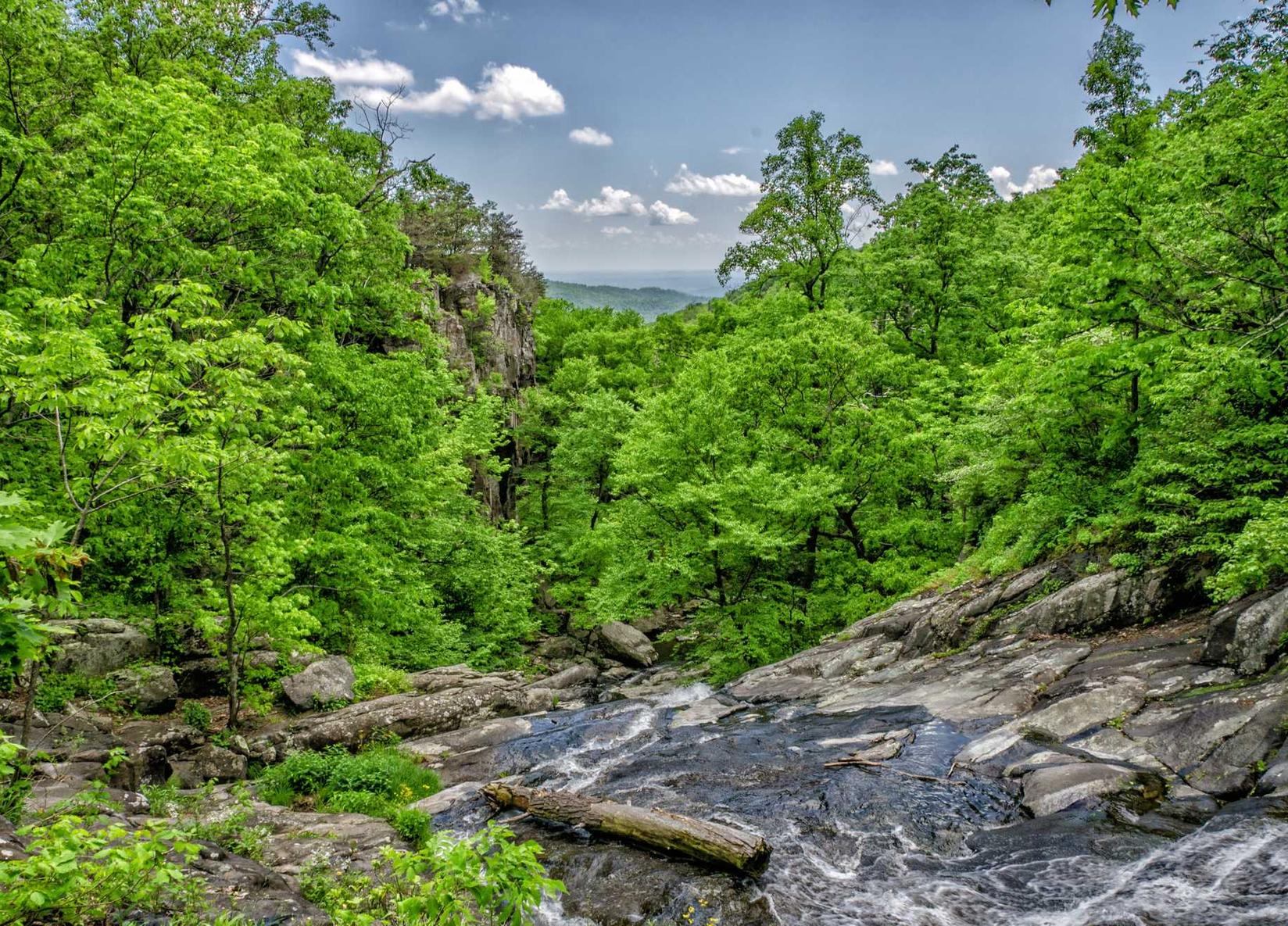 国外微信号:三资平台开户请示