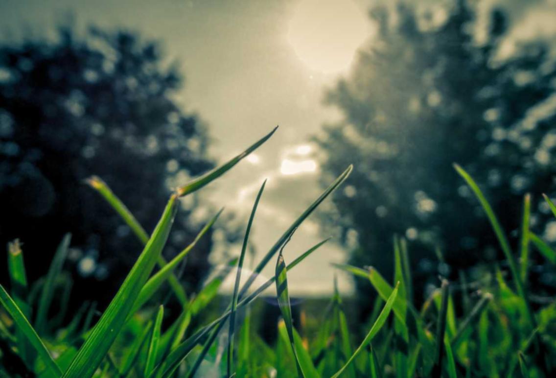 堡垒前线:破坏与创造辅助- 音乐帮app详情下载教程