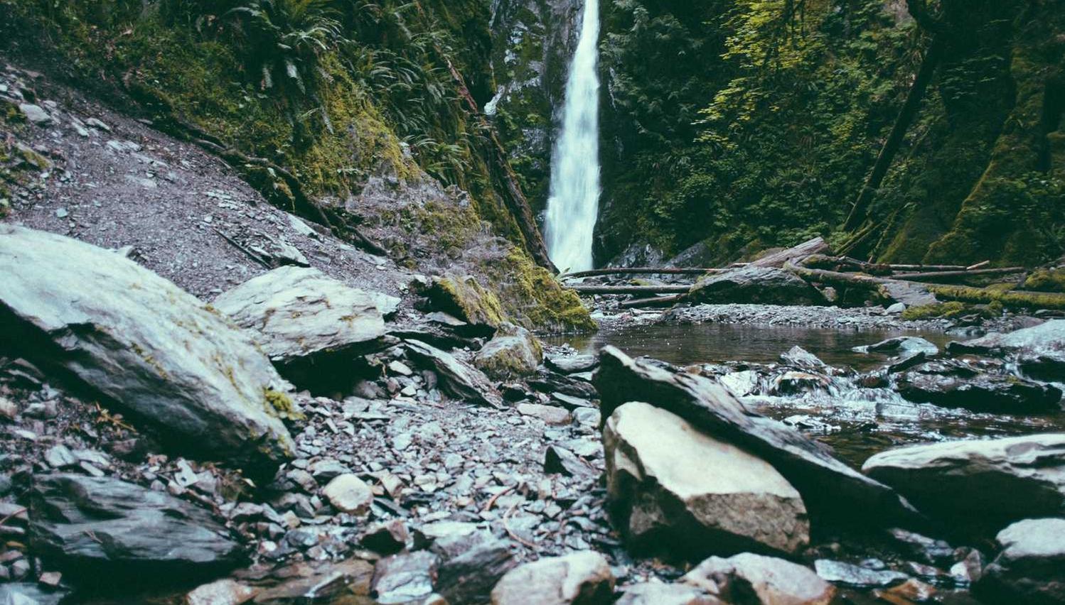 DDOS平台|国外司机app详情下载教程