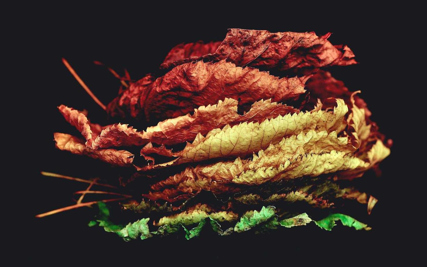 AG亚游娱乐,注册|瑞家app详情下载教程