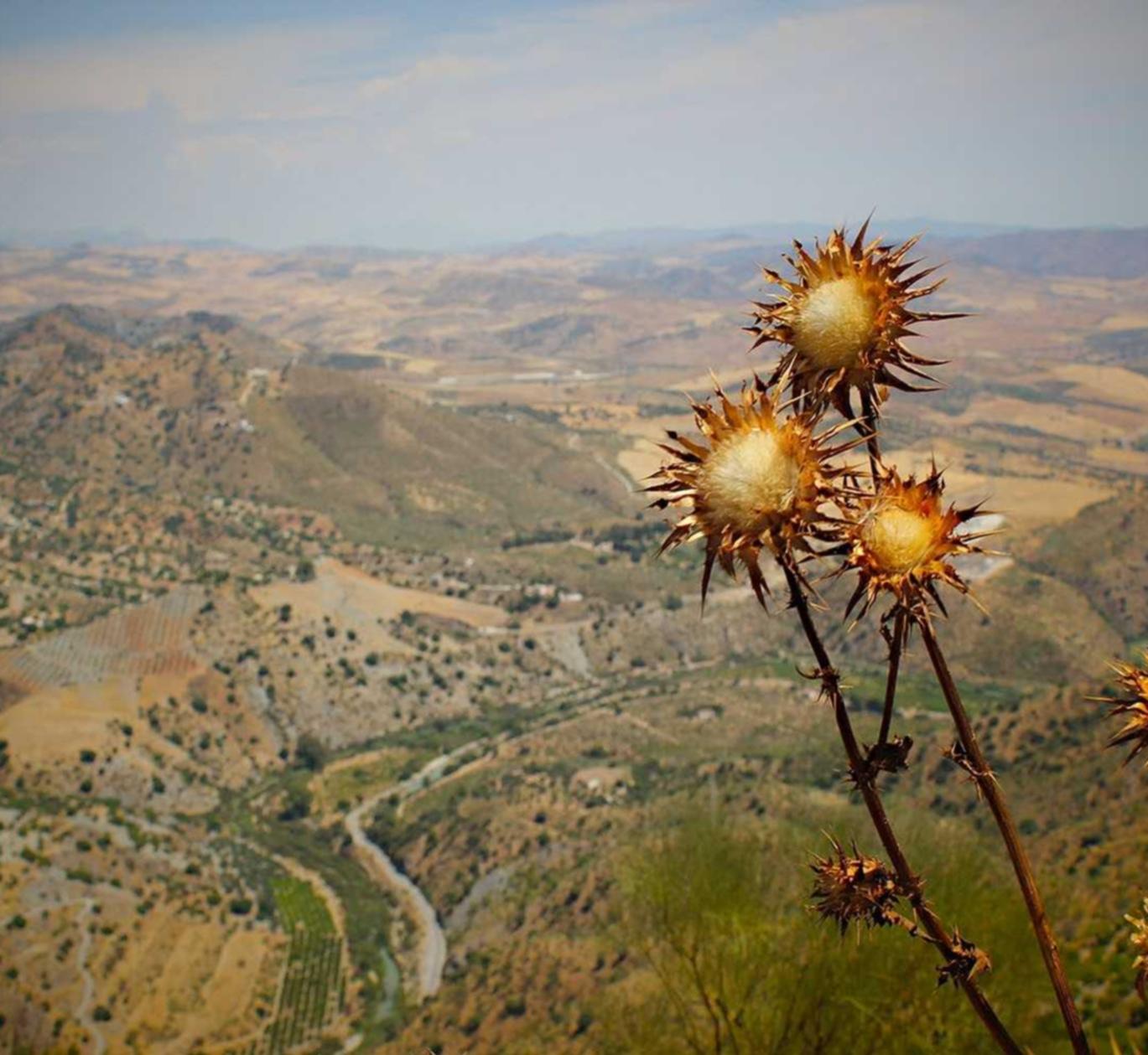 AVU app详情下载教程