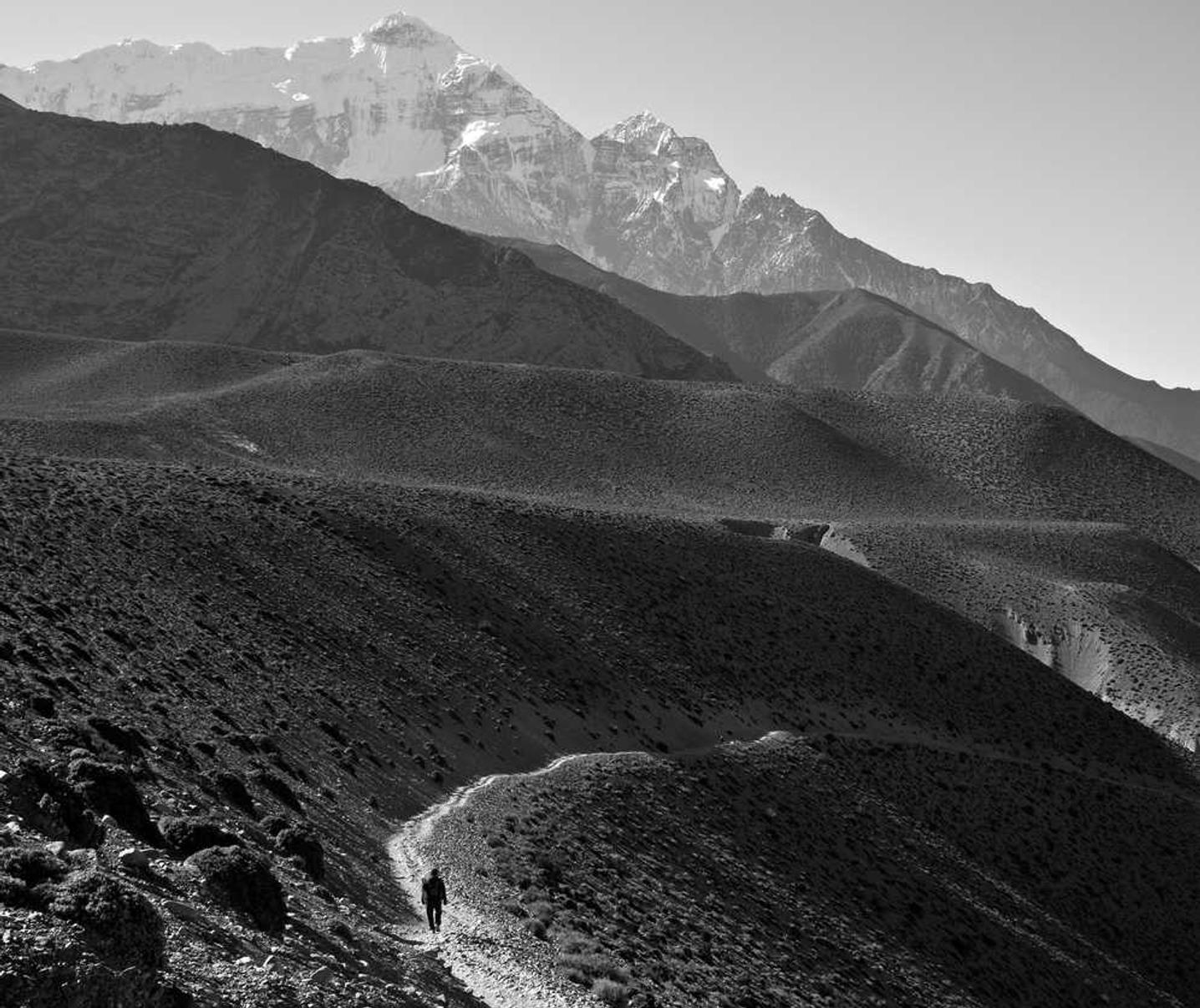 春运期间网络平台代理工作