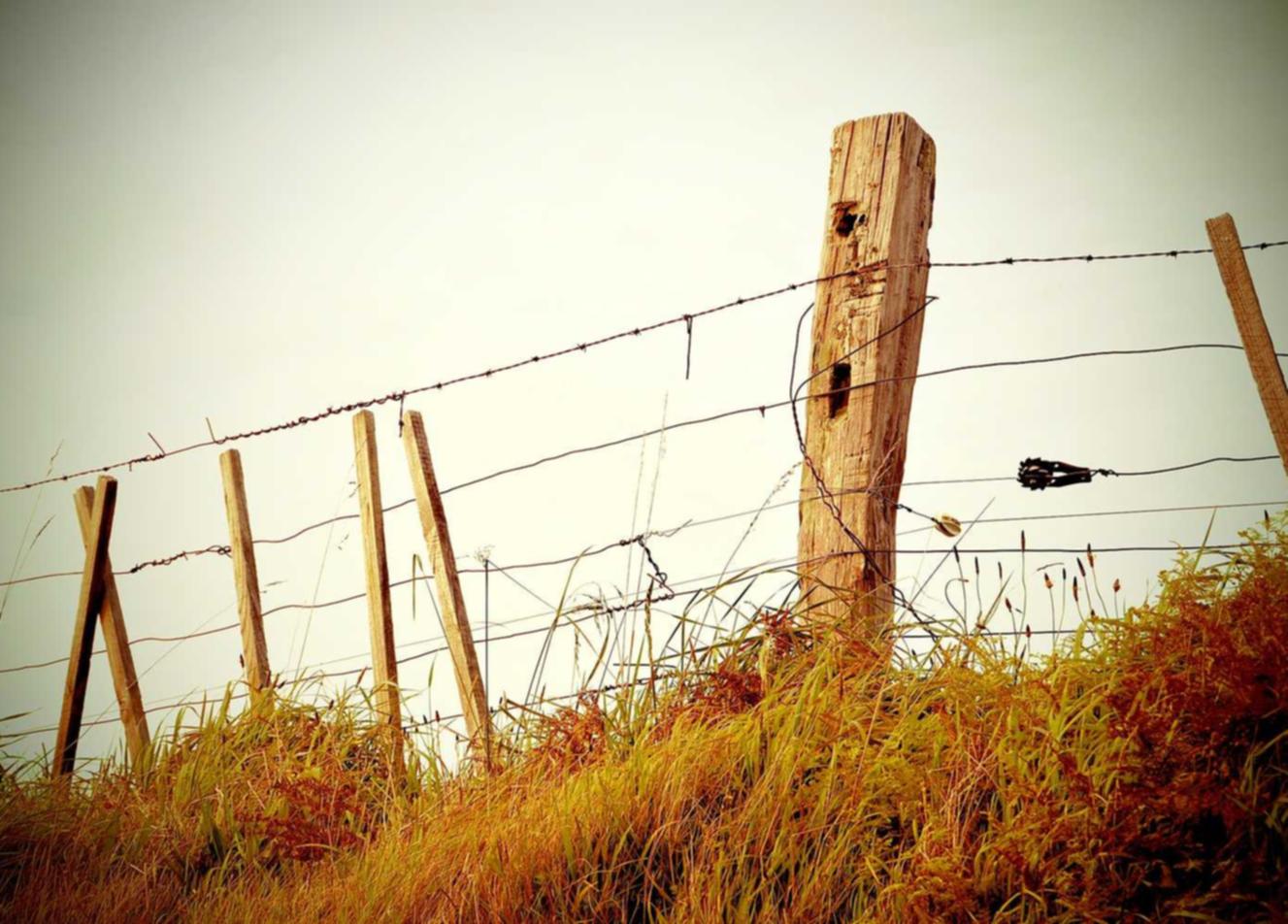 猎聘实名账号:为什么详情下载教程外国app连不上网