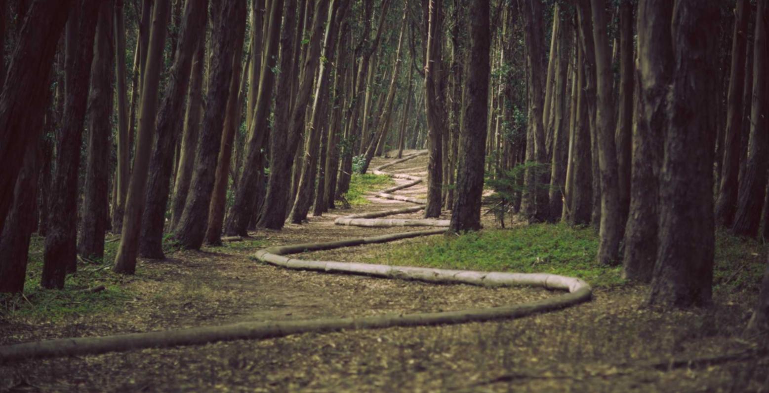 灵魂实名账号:流量卡如何解决受限访问的问题?