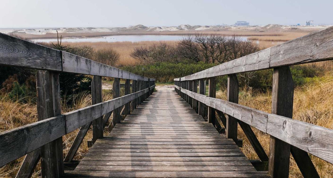 forest app 详情下载教程