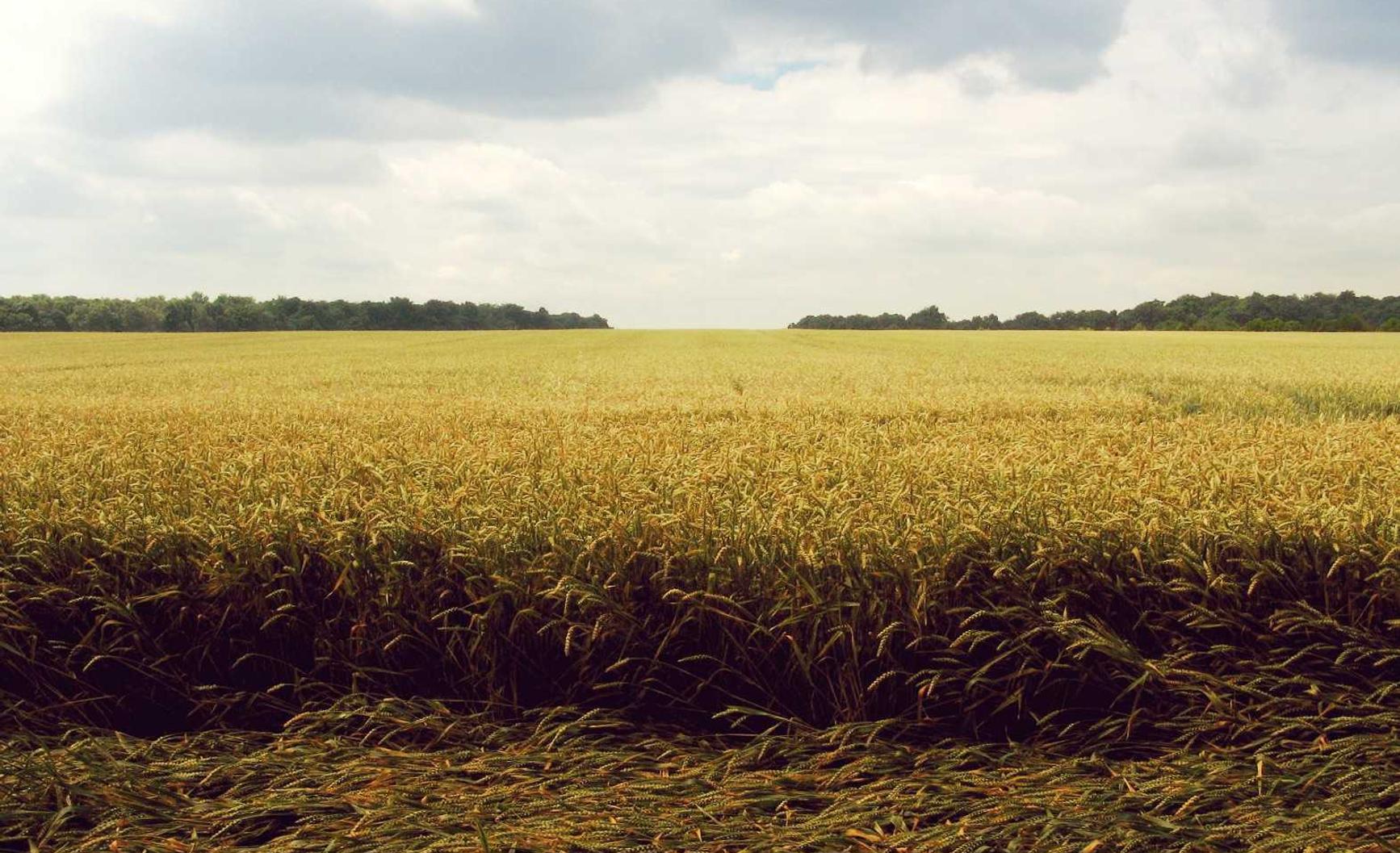 微信实名账号:高邑县官方账号注册
