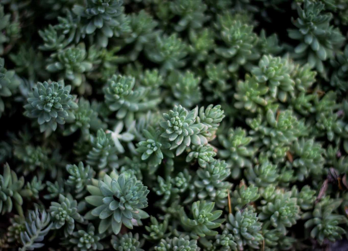 提速啦实名账号:深圳抖音平台开户条件