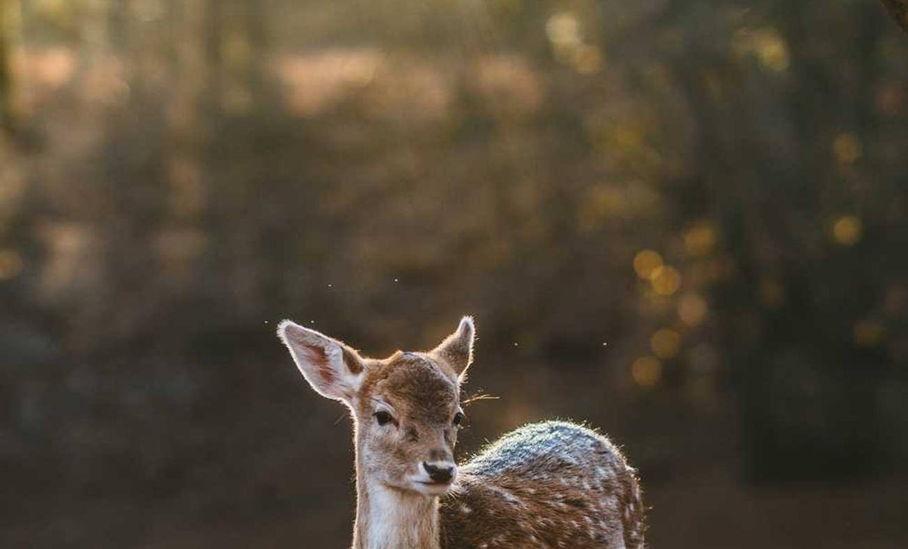 盛唐娱乐,注册|生蔬购买平台