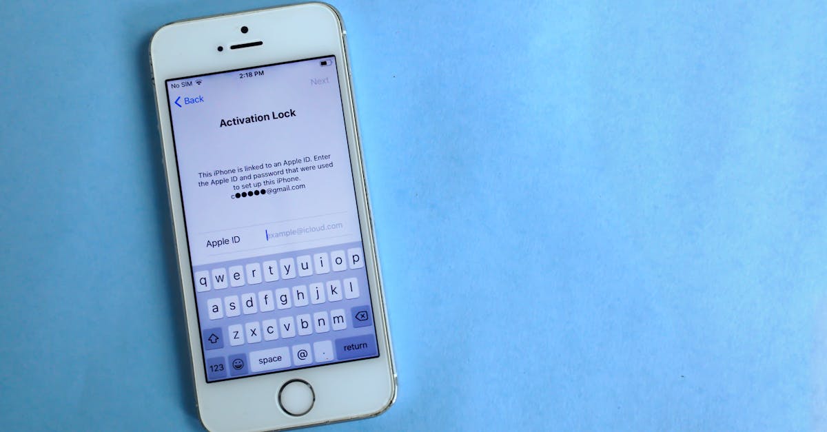 QQ实名账号:猫咪视频app详情下载教程安装