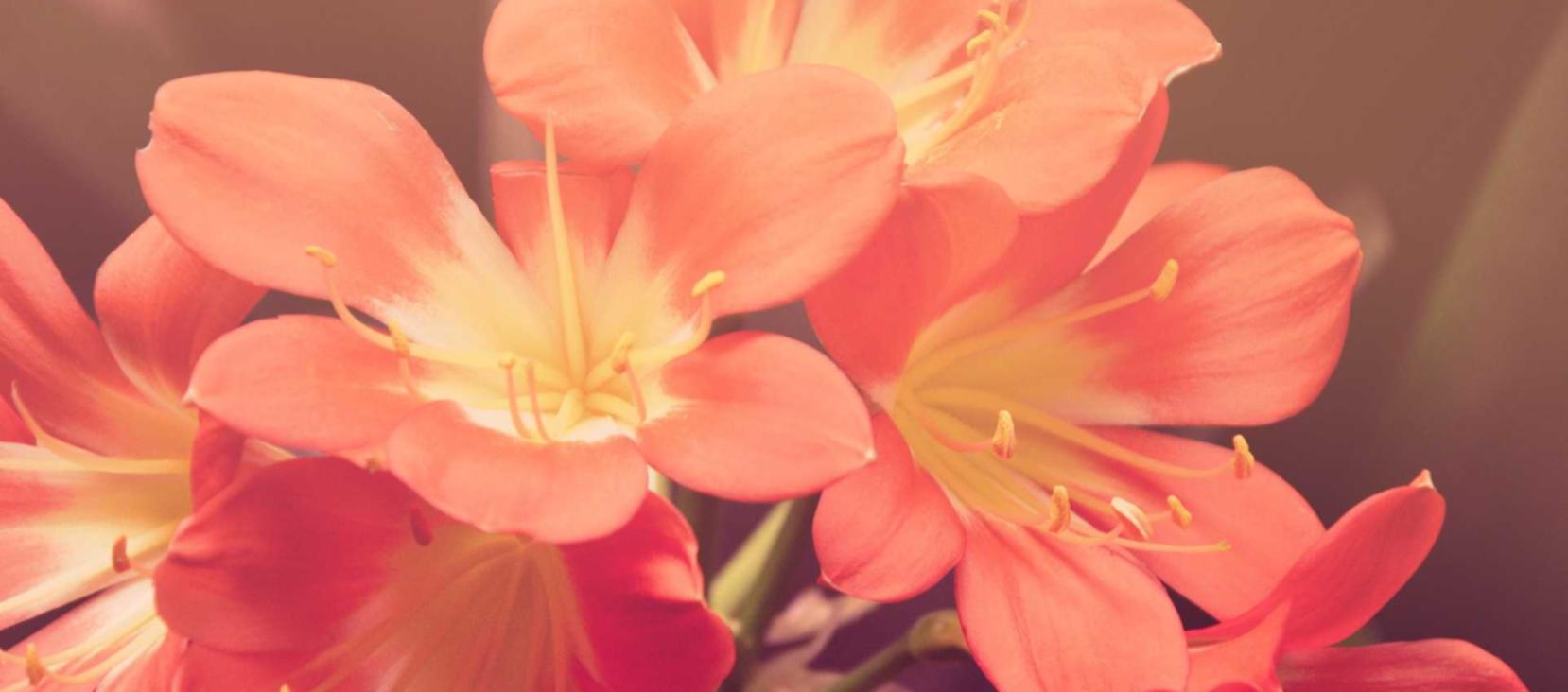 一品传承2娱乐,注册|M1详情下载教程手机app