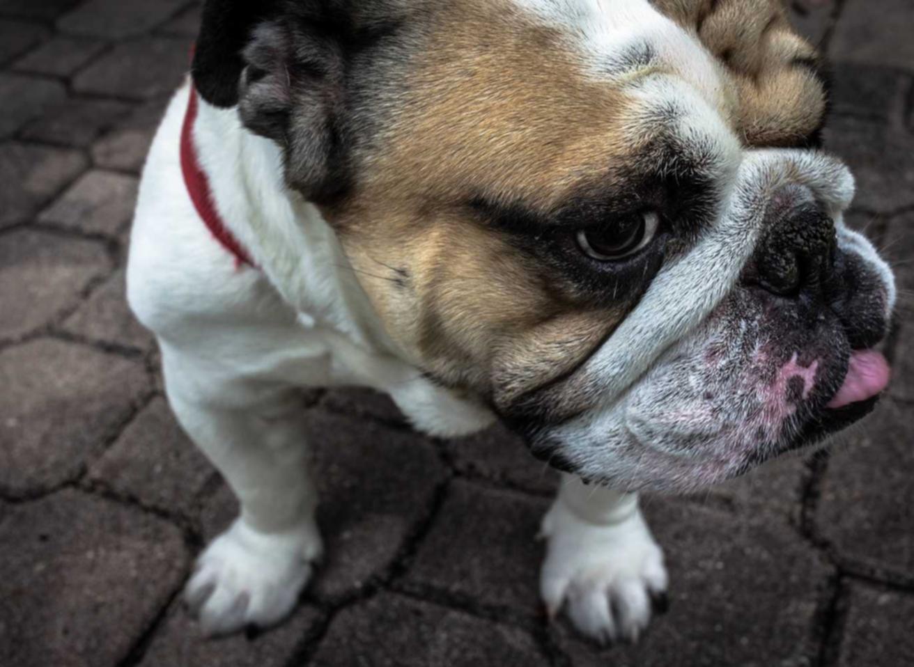 爱喜锦鲤爆珠:男女做事APP详情下载教程