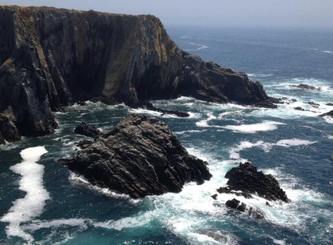 pexpay详情下载教程app