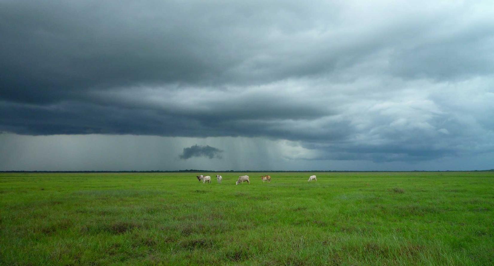 VX小号买卖:电子书阅读器账号注册