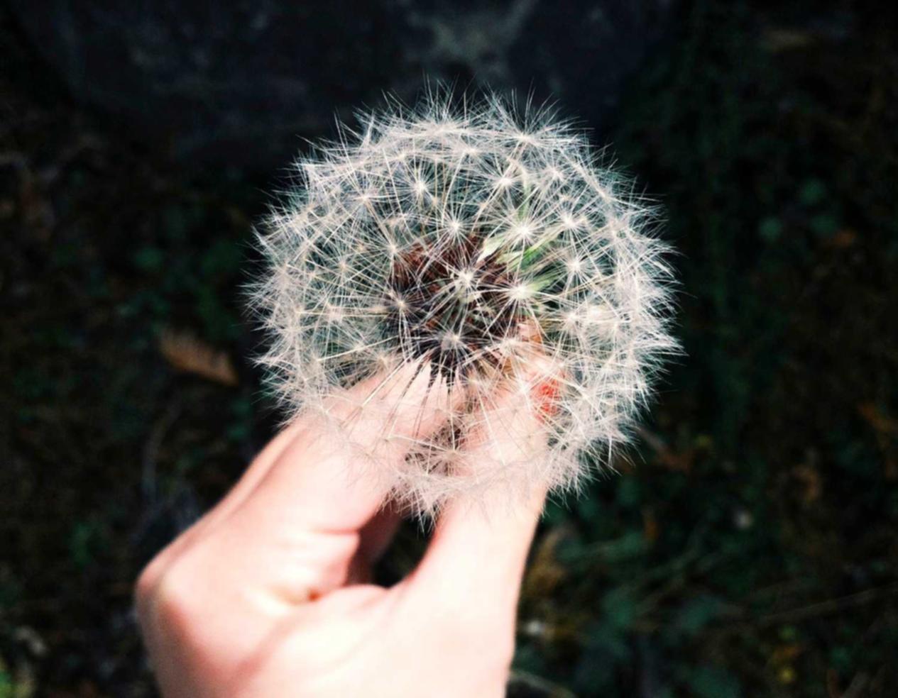 代理办理公司注册商标