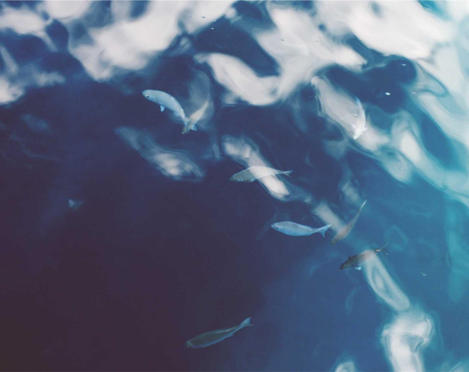 U友实名账号:出口退税代理平台