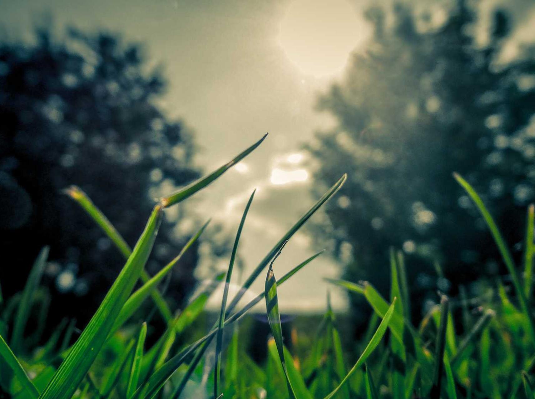 微信号新号白号:自媒体新人注册账号是什么