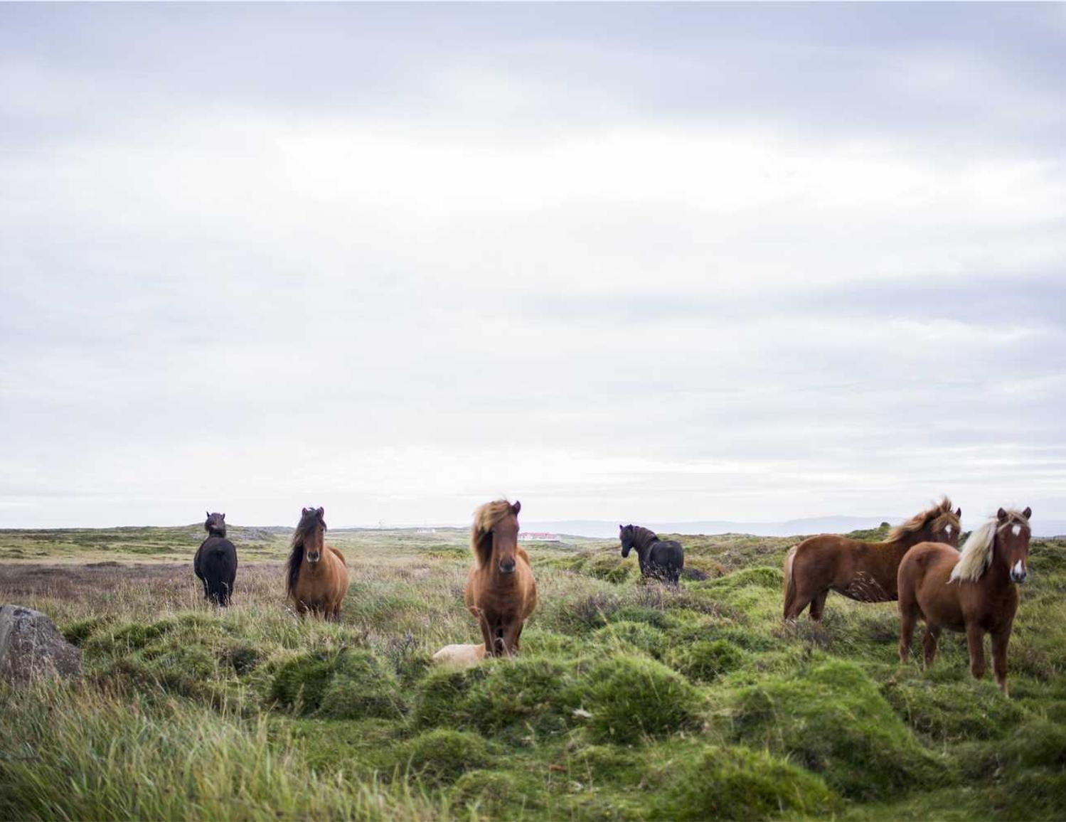富联娱乐,注册|用户名注册的网络游戏账号