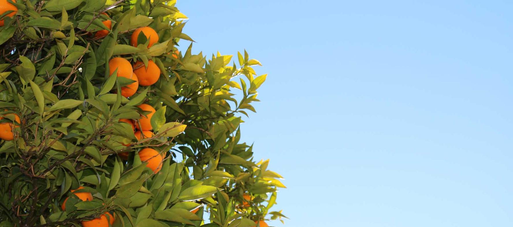 游戏自动化工具代理平台推荐