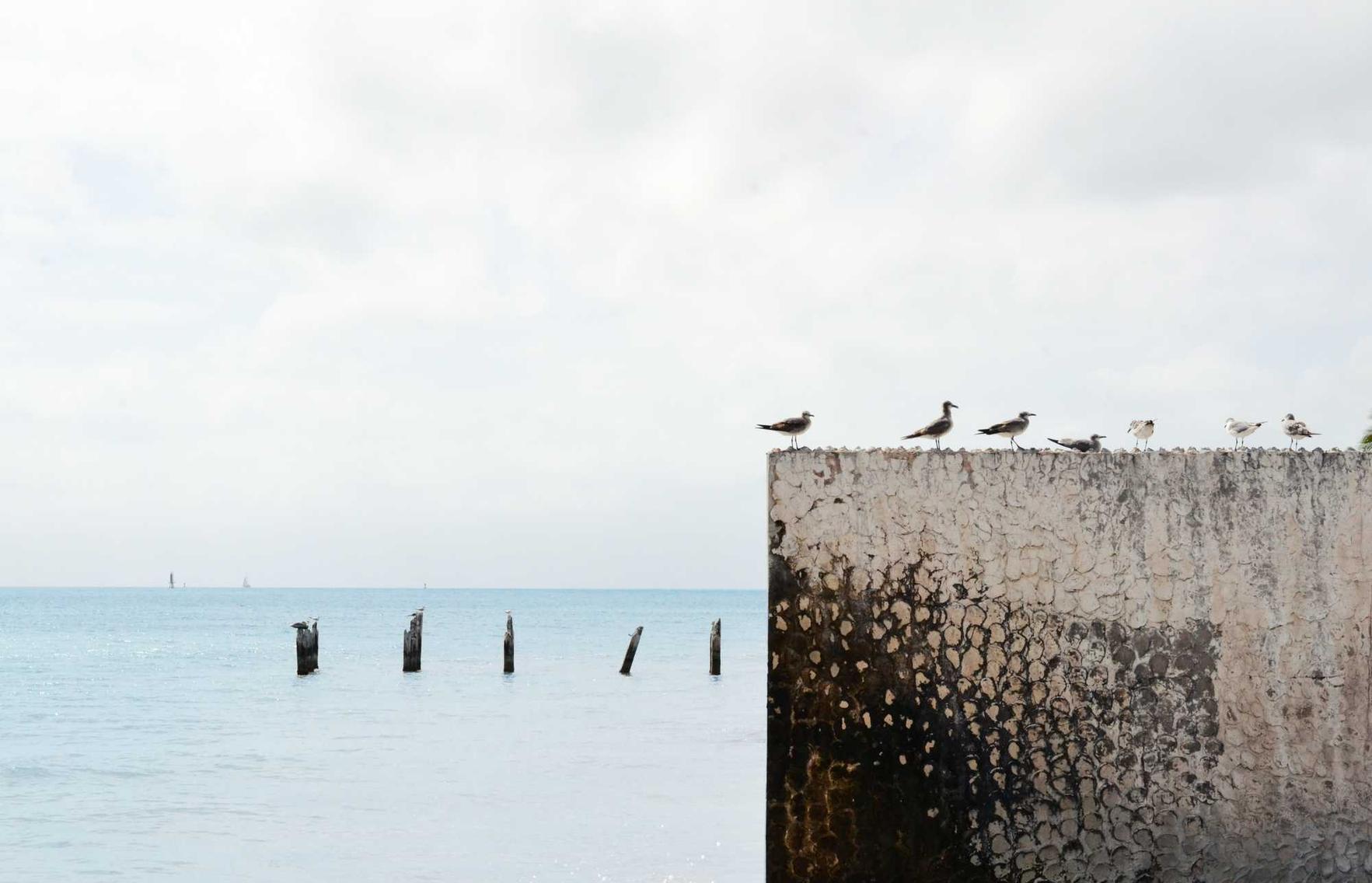 泡泡堂:麻将账号注册安全吗