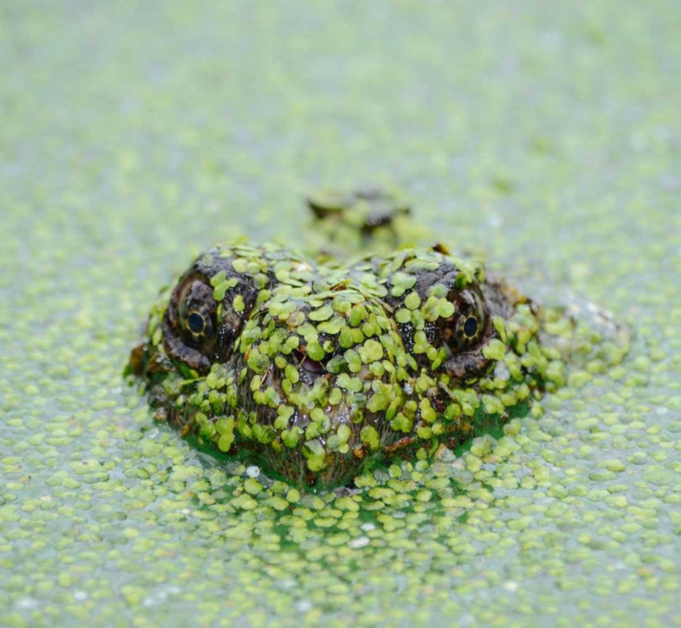 详细分析平台开户网址