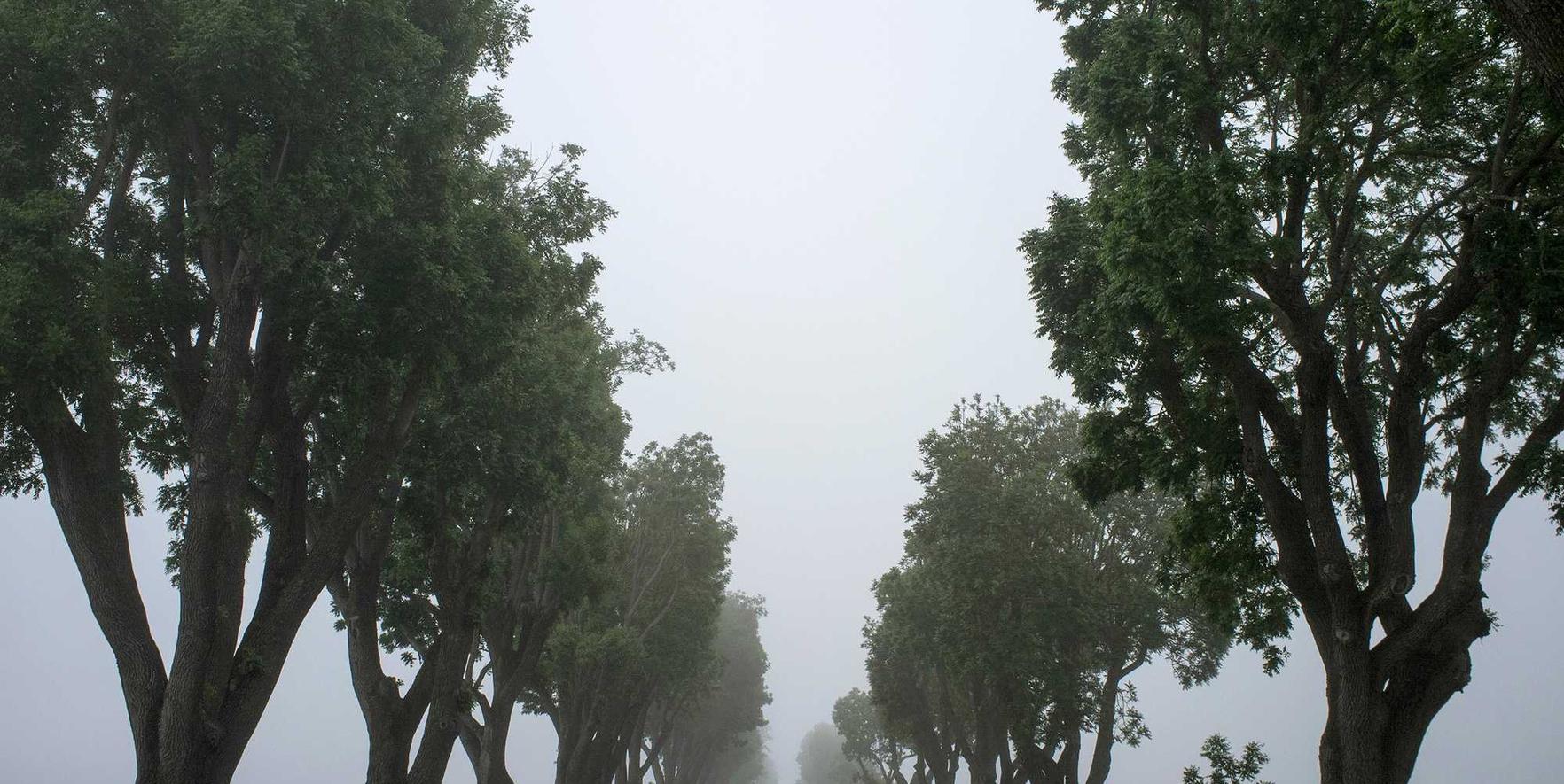 万向手机能自己注册账号吗抖音