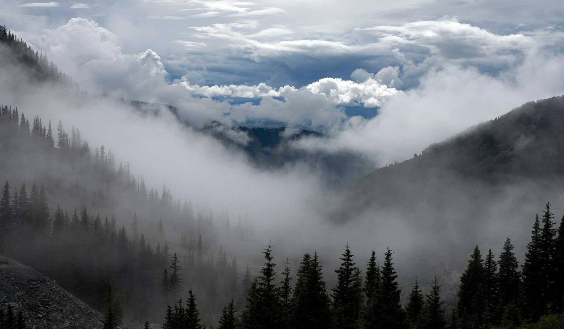 无限互联实名账号:流量卡和电信公司的合作模式