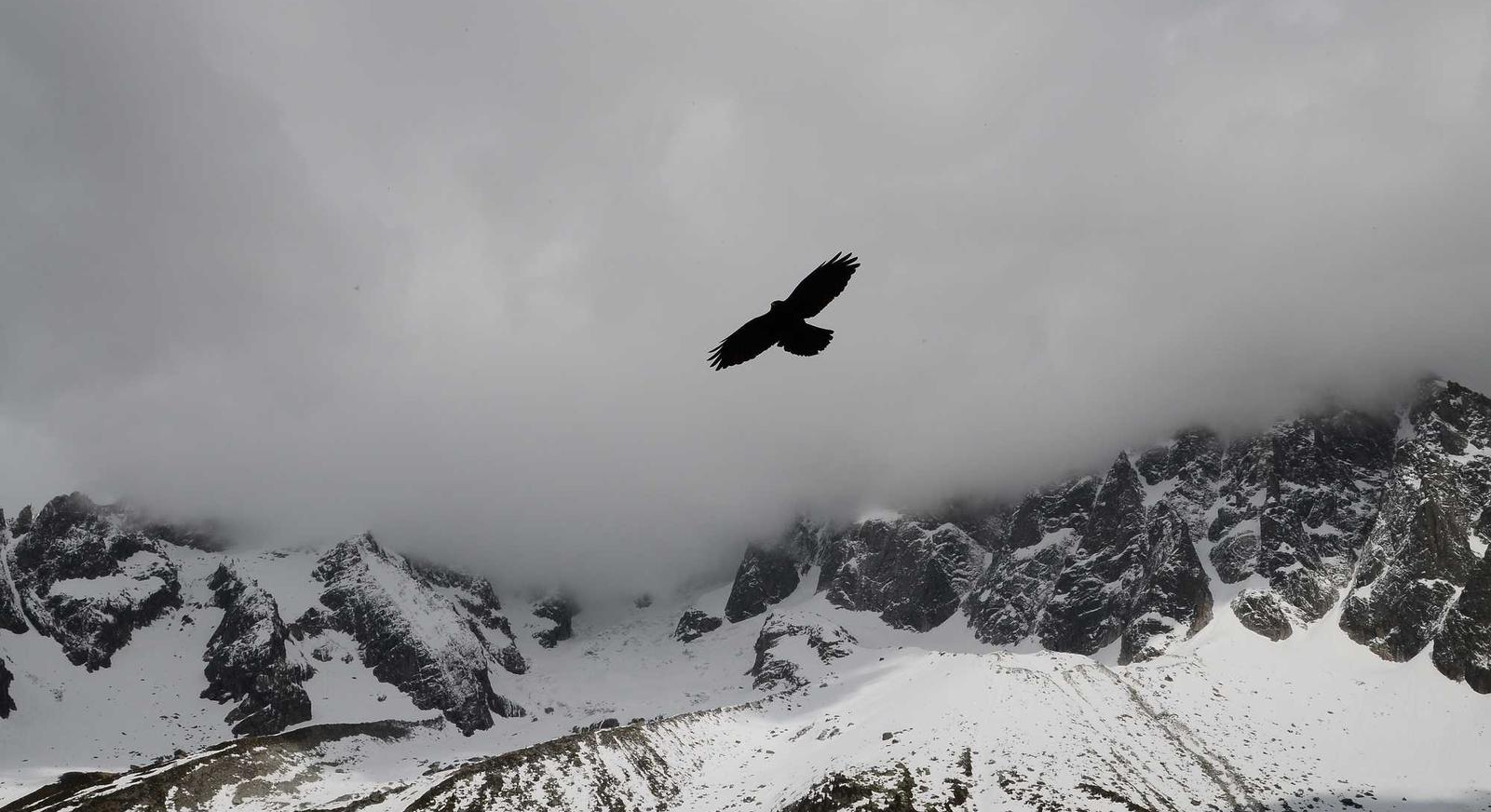 okx欧易实名账号:长春期货平台怎么代理