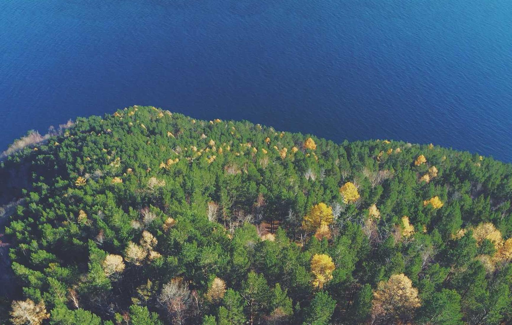 技术支持的重大历史事件回顾