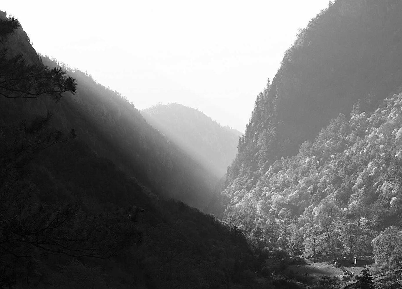 实名物联卡:英雄联盟手游购买账号