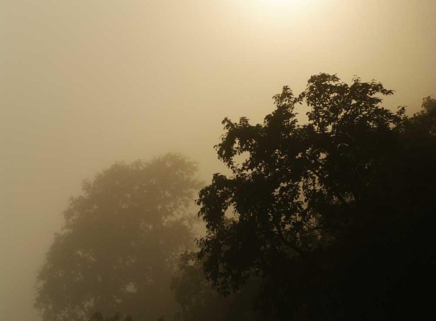 CG阔叶罗布图雪茄：汉口注册代理价格