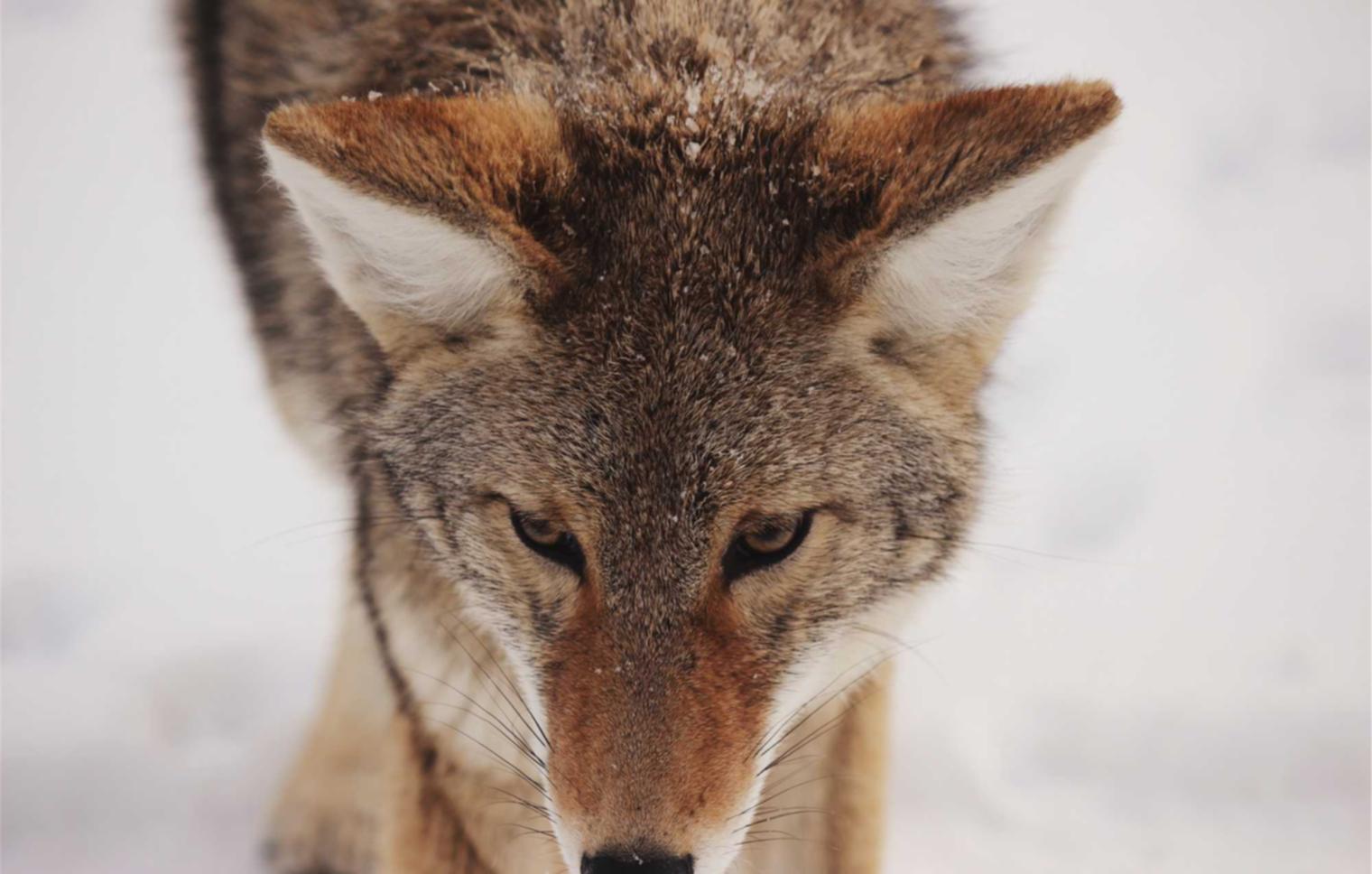 花田实名账号:沧州青县公司代理注册