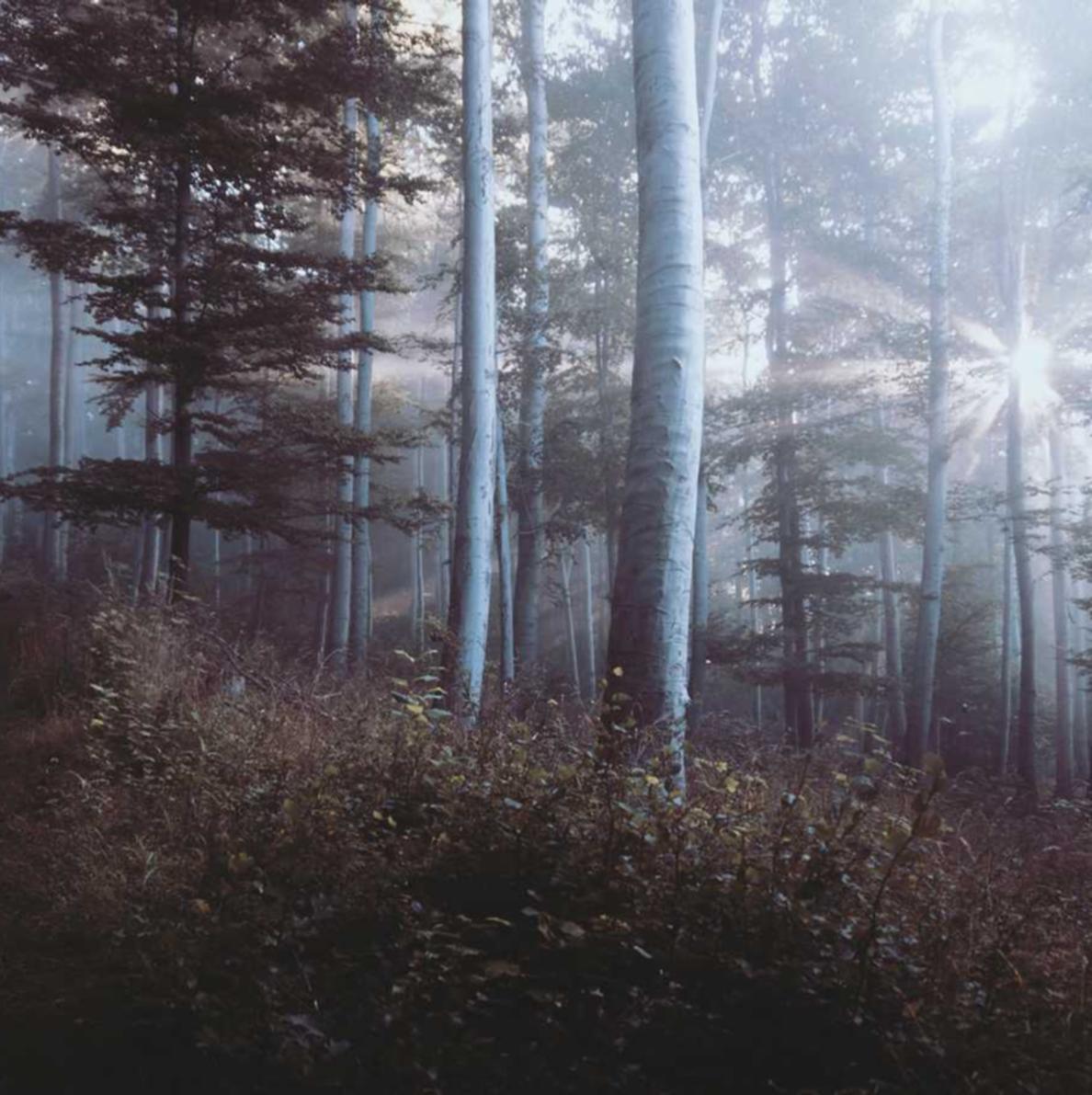 在生活中使用短信的5种方式