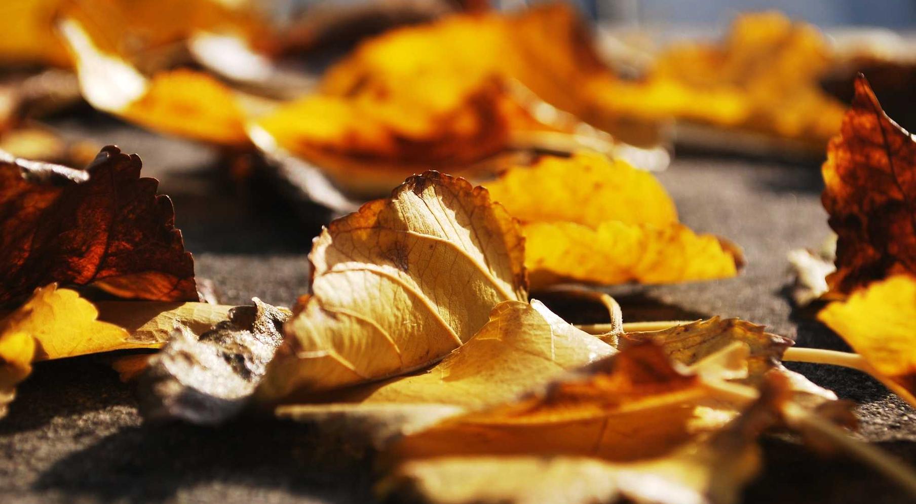 苹果app隐藏详情下载教程