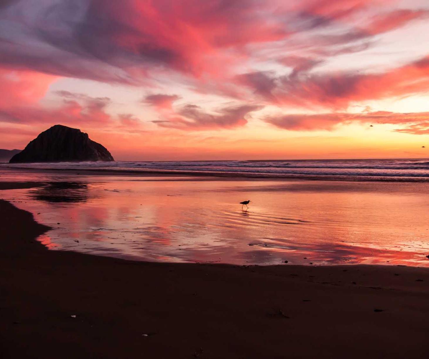 闲鱼实名账号:注册拳头账号一直加载异常