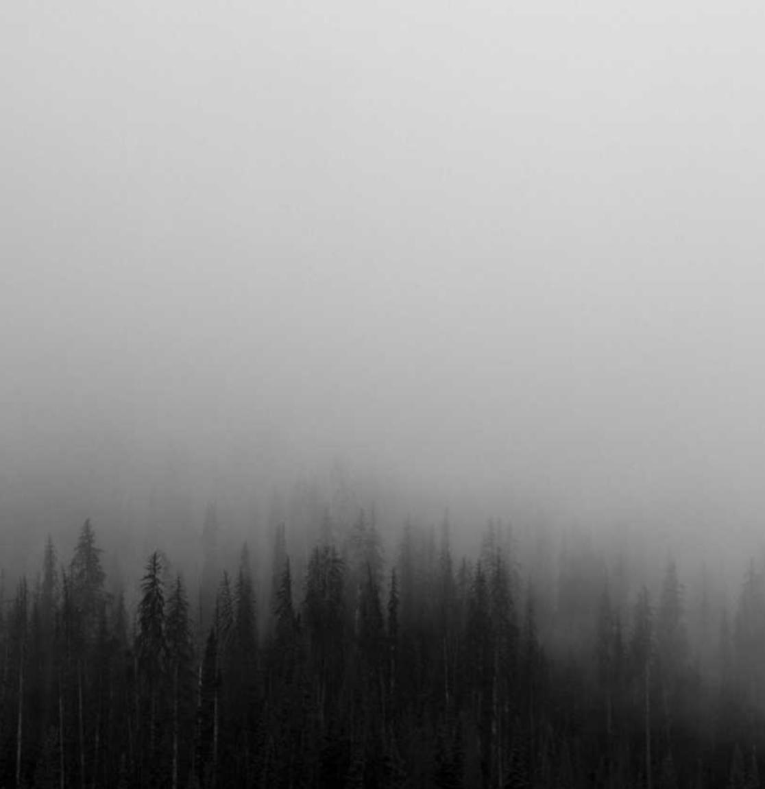 DDOS压力测试网页端|英树代理招商平台