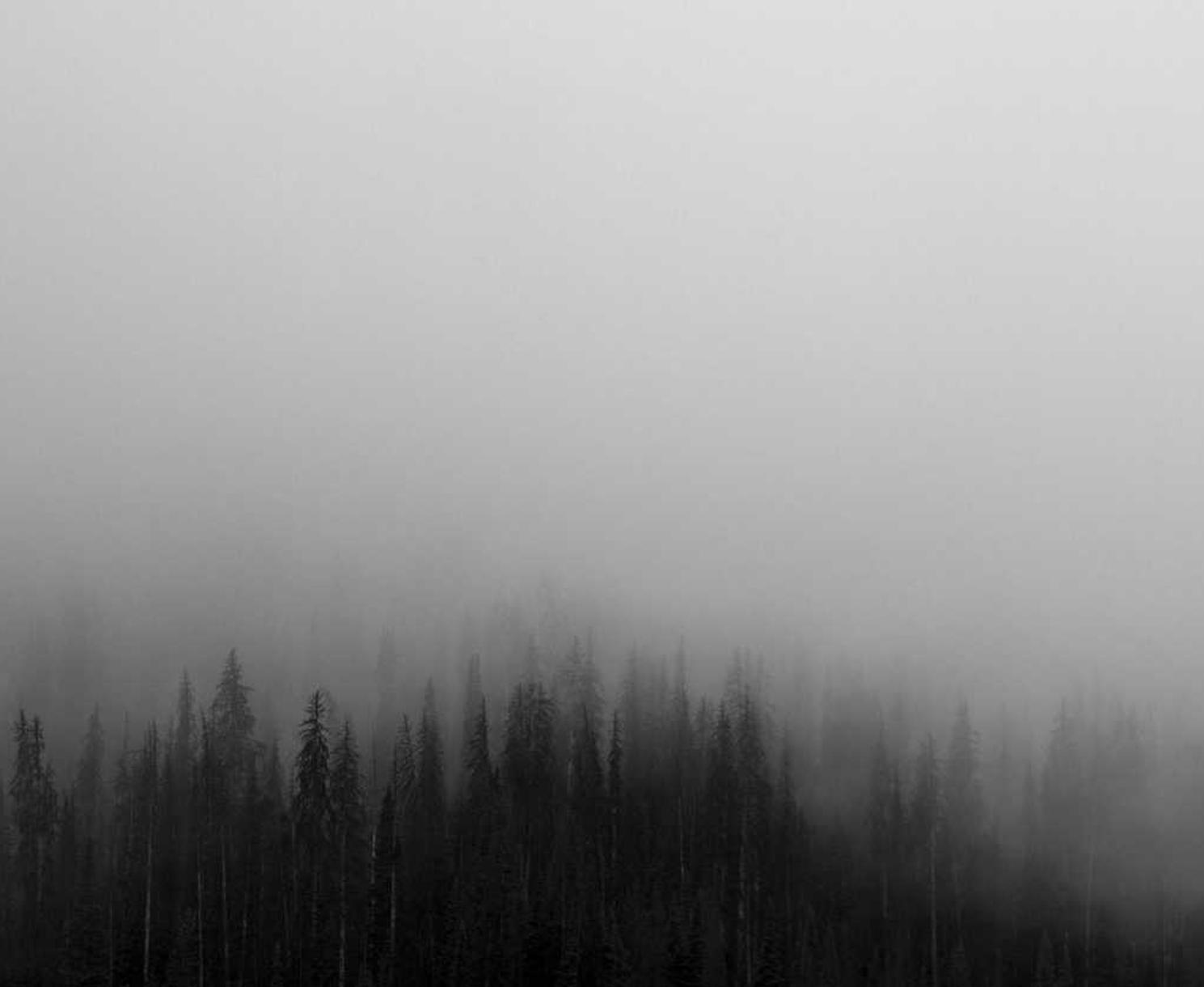 七星柔和4mg:浙江会计公司注册代理记账