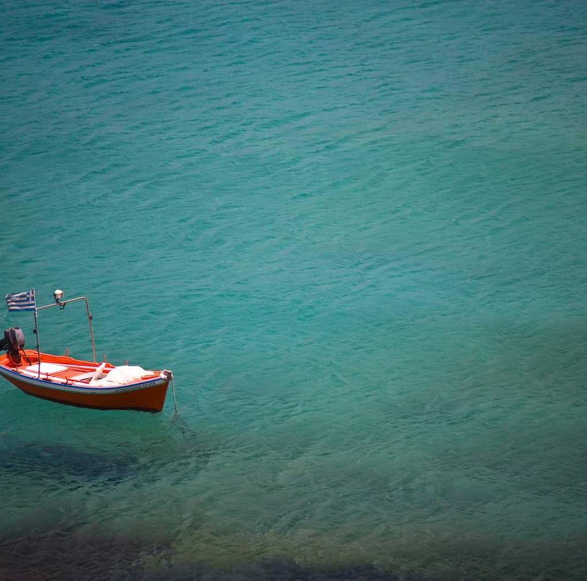 详情下载教程鸟app详情下载教程