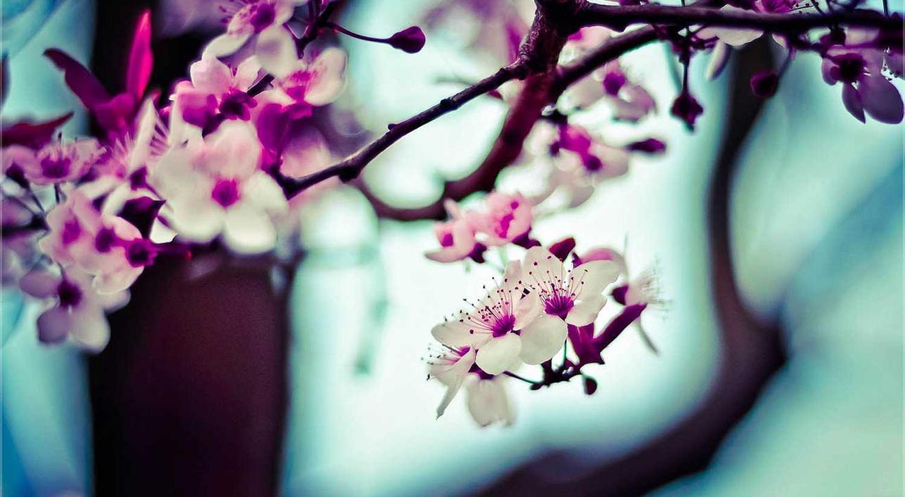 微信批发：乌克兰微博官方账号注册