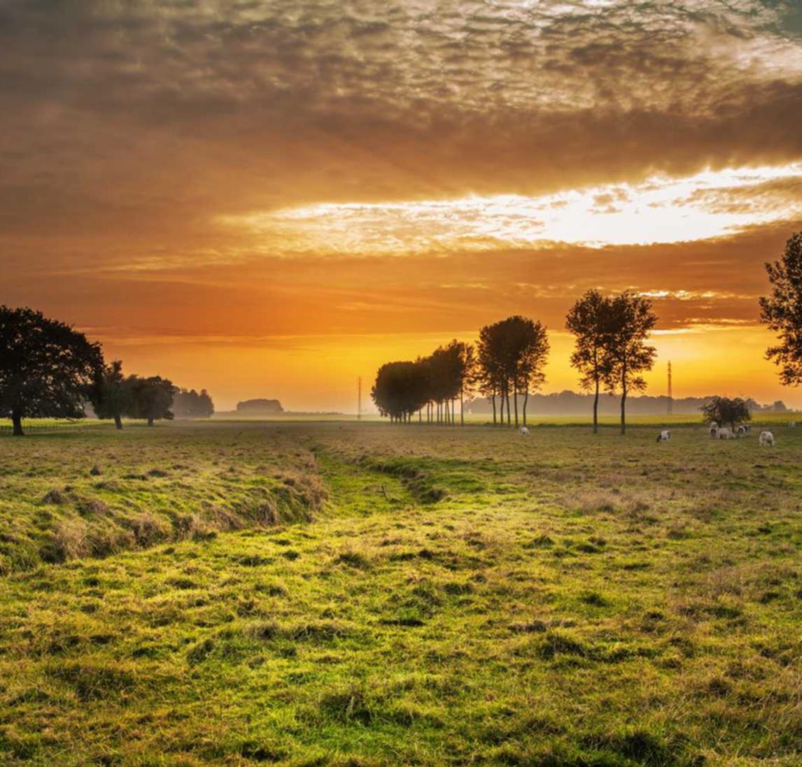 搜狐实名账号：宝可梦联盟账号注册