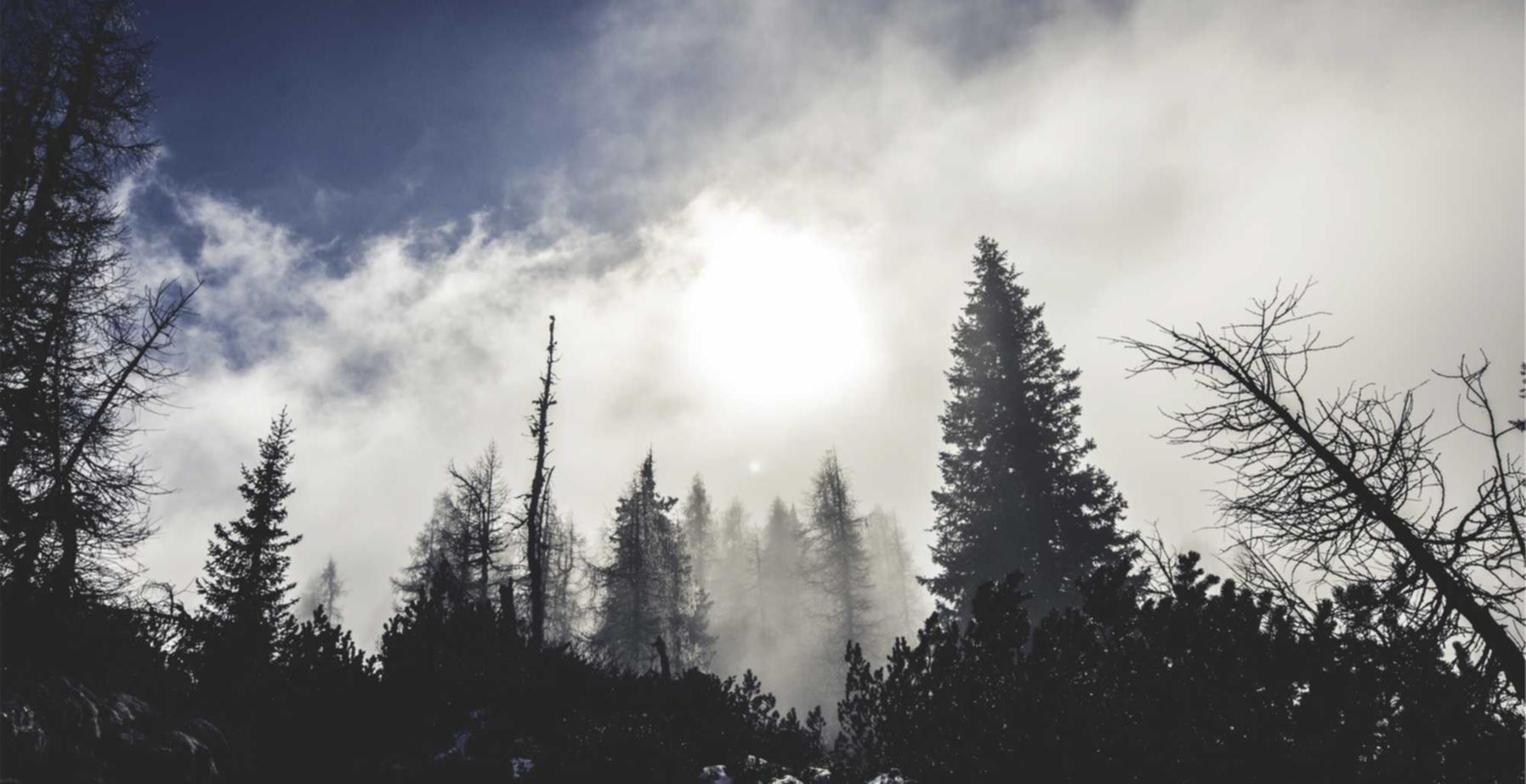 百度实名账号：短信群发常见问题的解决方案