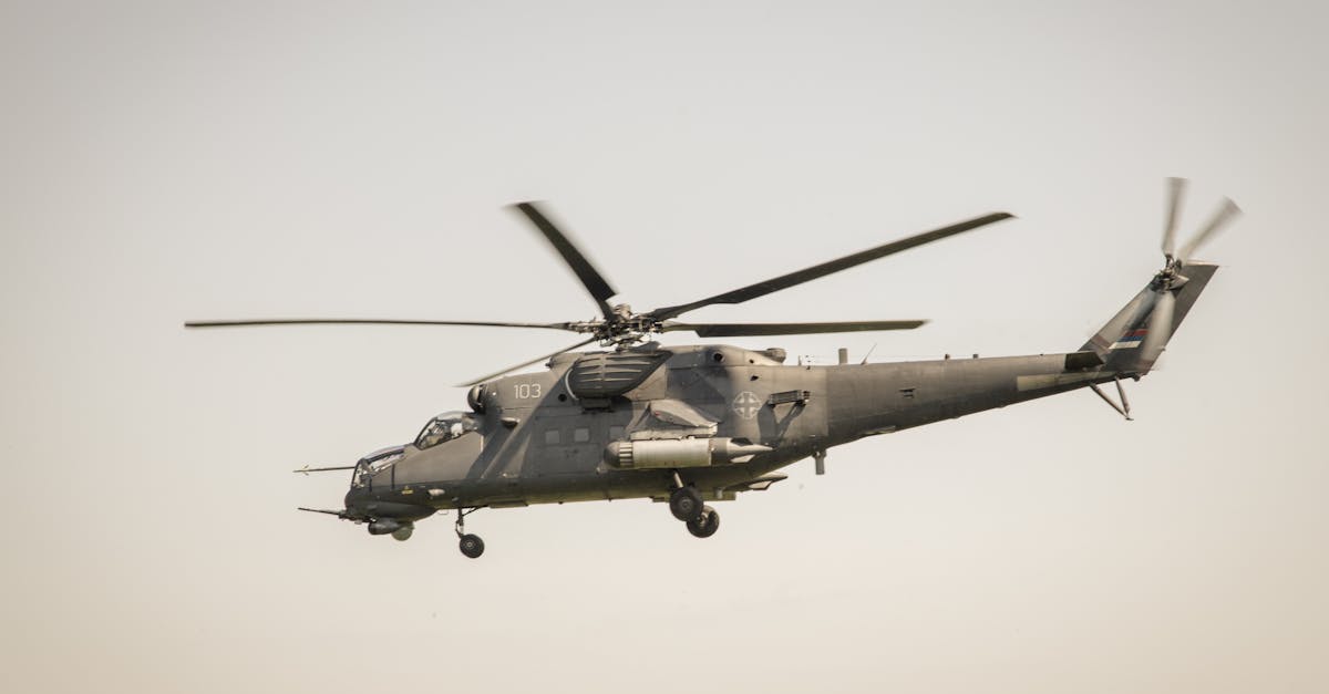 凤凰利用社交广告拉动品牌销售