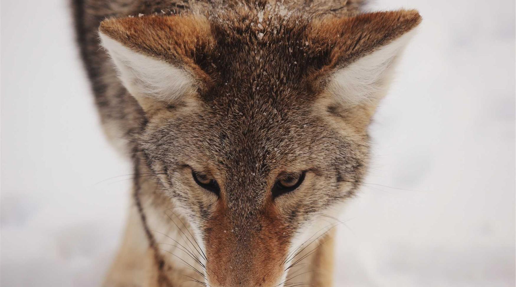 腾讯手机卡实名账号：流量卡与拍卖、收藏和文化艺术品投资的协同推动和实践