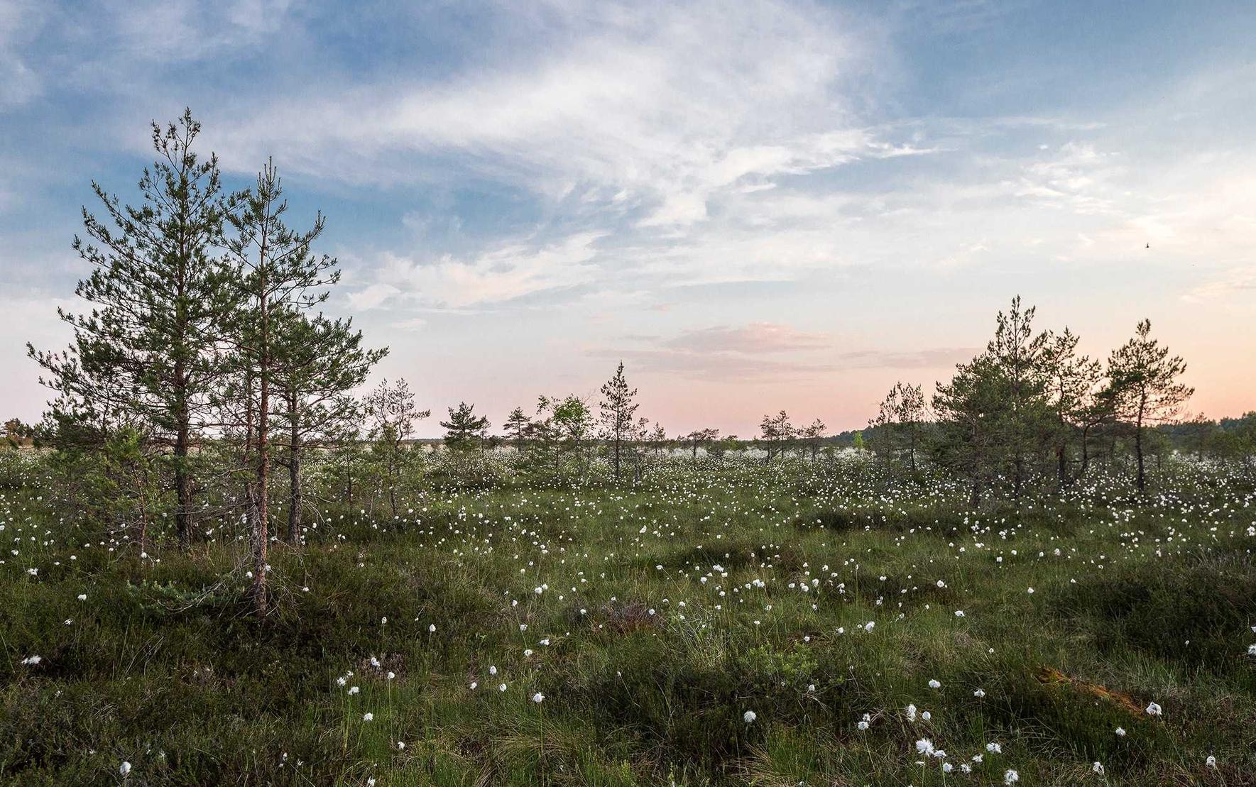 微信号码批发：乌鲁木齐配送平台代理外卖