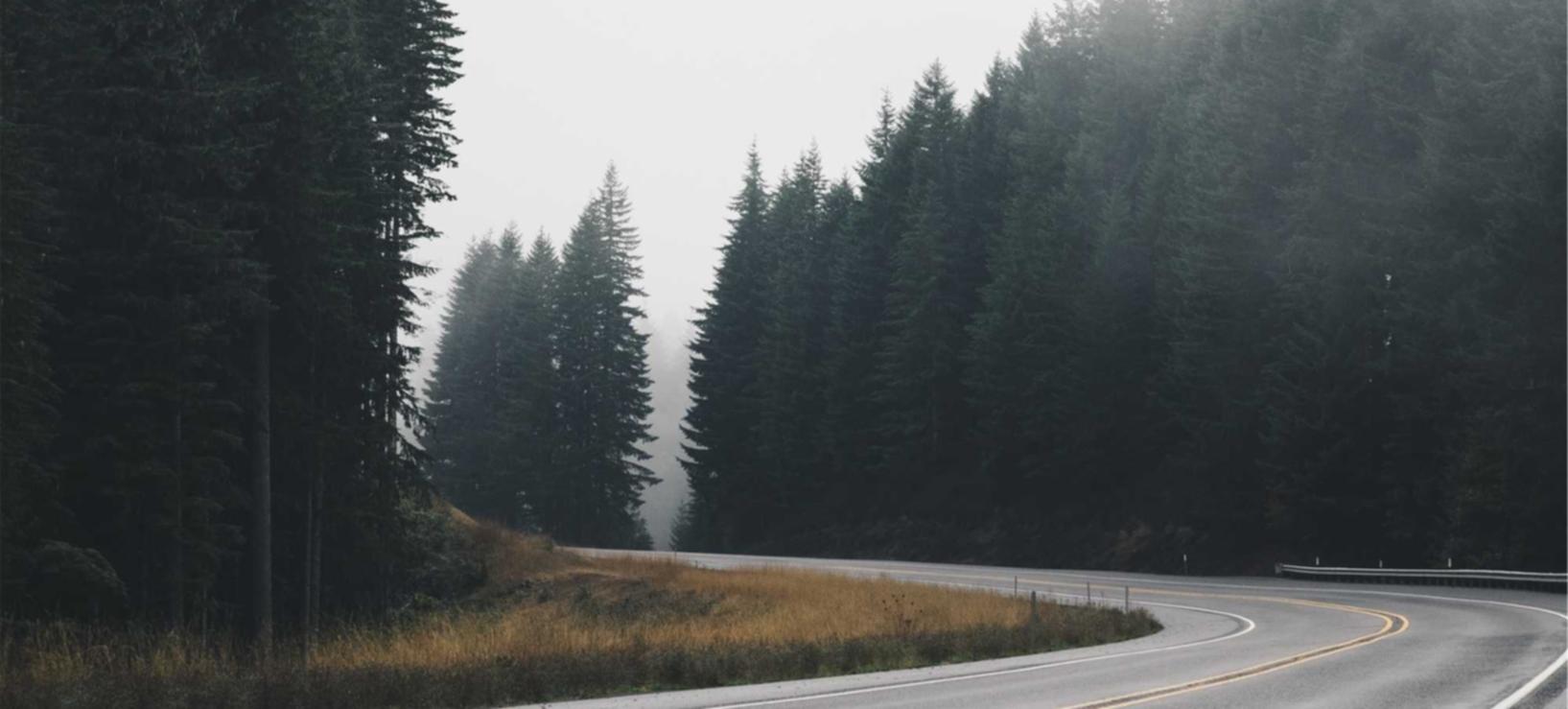 Mond梦都西瓜：台州注册公司代理记账流程