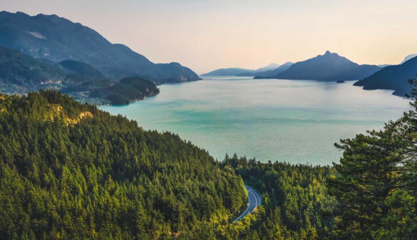 DDOS压力测试|盼达用车app官方详情下载教程